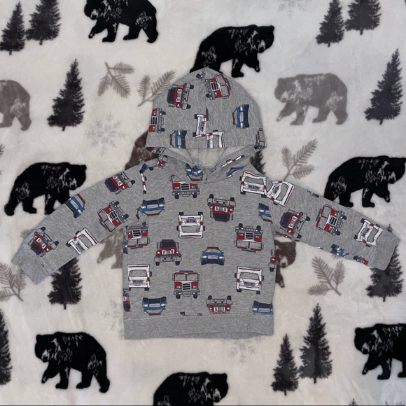 Carter's Other - 🚒24M Carter’s Hoodie🚒